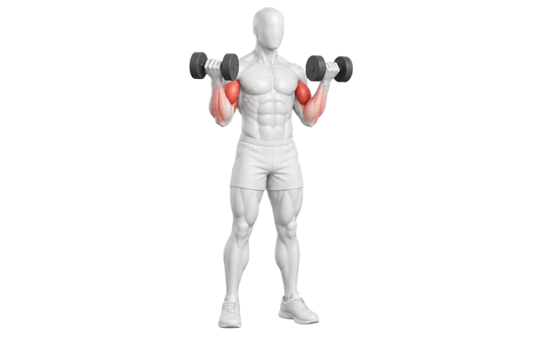 White Chisel figure performing a supinated dumbbell curl